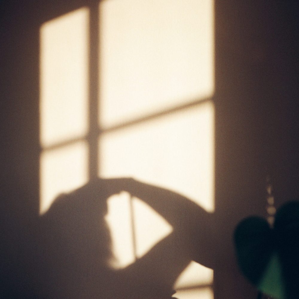 Photo38_39